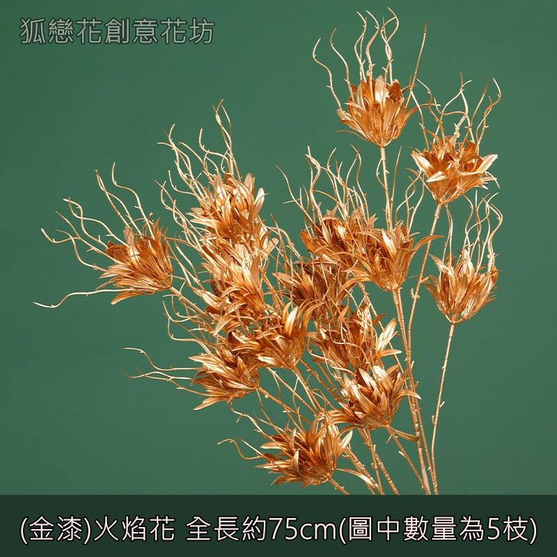 (金漆)火焰花