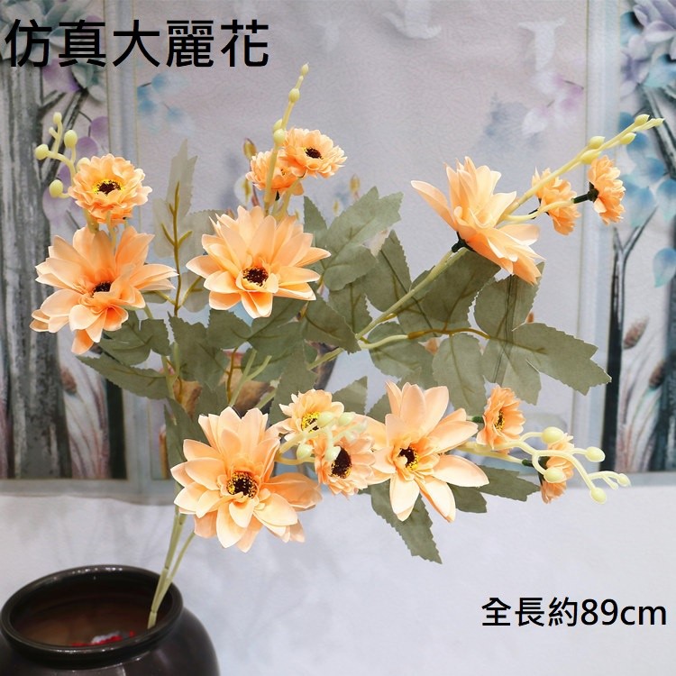 大麗花(香檳),價格為1枝(個)的價格