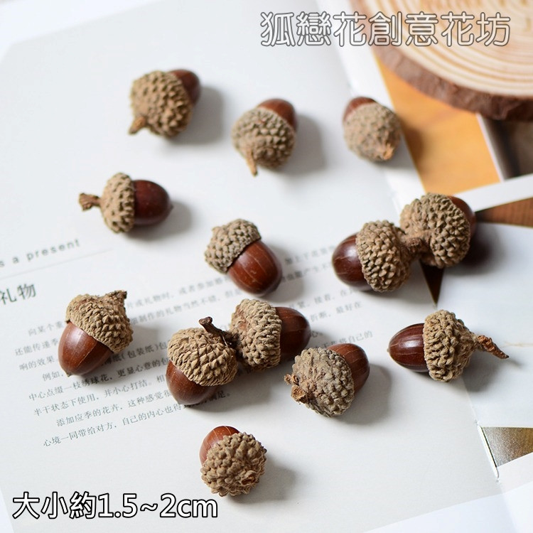 台灣現貨【橡樹果實橡實裝飾素材】大橡實小橡實 森林系乾燥花搭配 花圈藤圈 佈置 花藝材料 聖誕佈置