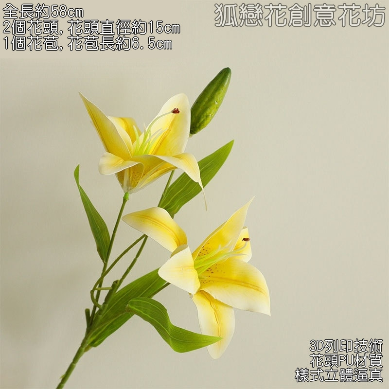 2頭百合❰黃❱綠色花苞,🦊~賣場商品眾多，歡迎參觀選購~🦊