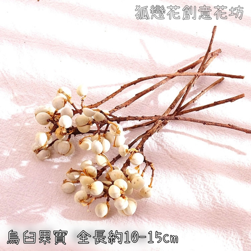 烏臼(1份約5~7枝),🦊~賣場商品眾多，歡迎參觀選購~🦊