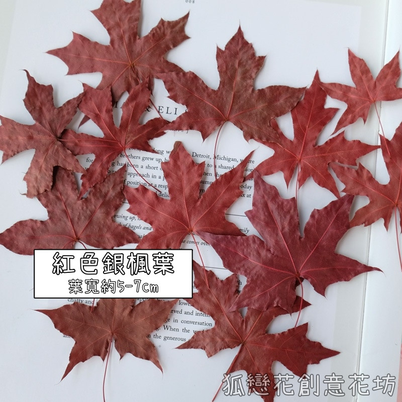 ❰酒紅❱銀楓葉(5片),份量請以選項為主