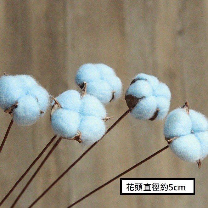 帶桿❰藍色❱棉花3枝