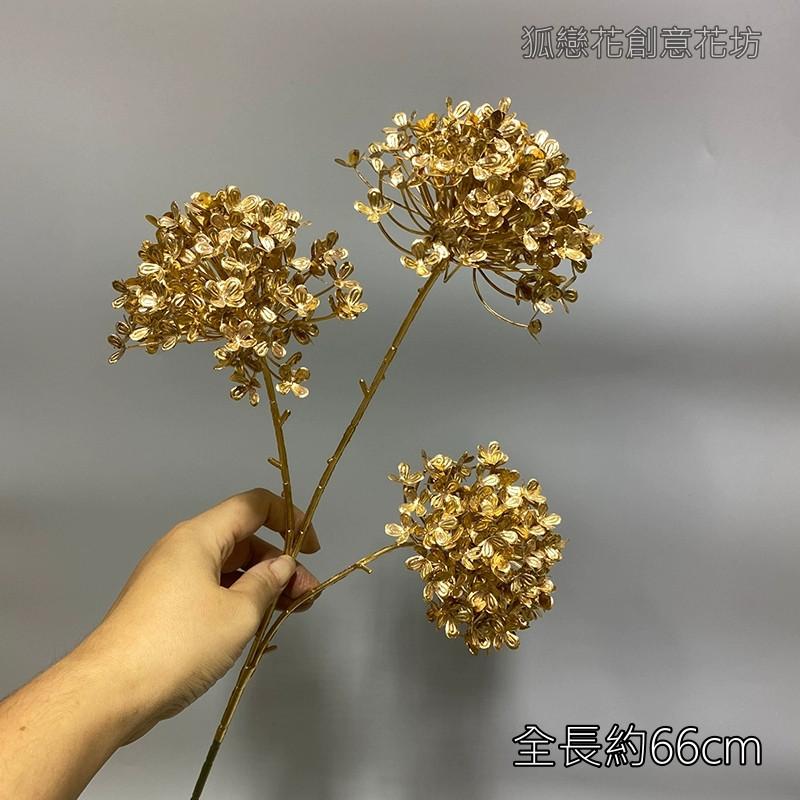 (金漆)三叉木繡球