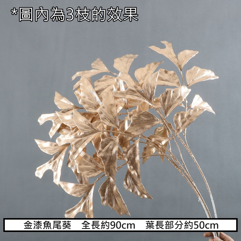 (金漆)魚尾葵