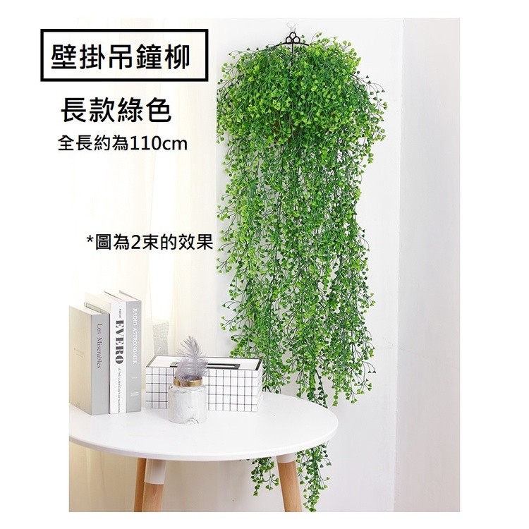 長款壁掛吊鐘柳(金鐘柳)綠色,價錢為1束的價格