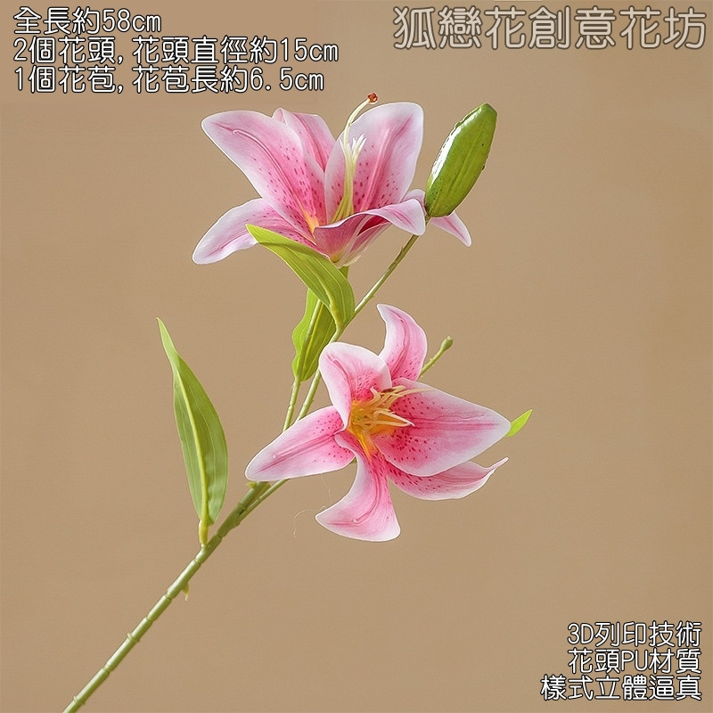 2頭百合❰紫❱綠色花苞,🦊~賣場商品眾多，歡迎參觀選購~🦊