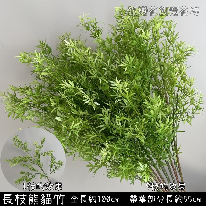 長枝熊貓竹(綠),價錢為1枝的價格