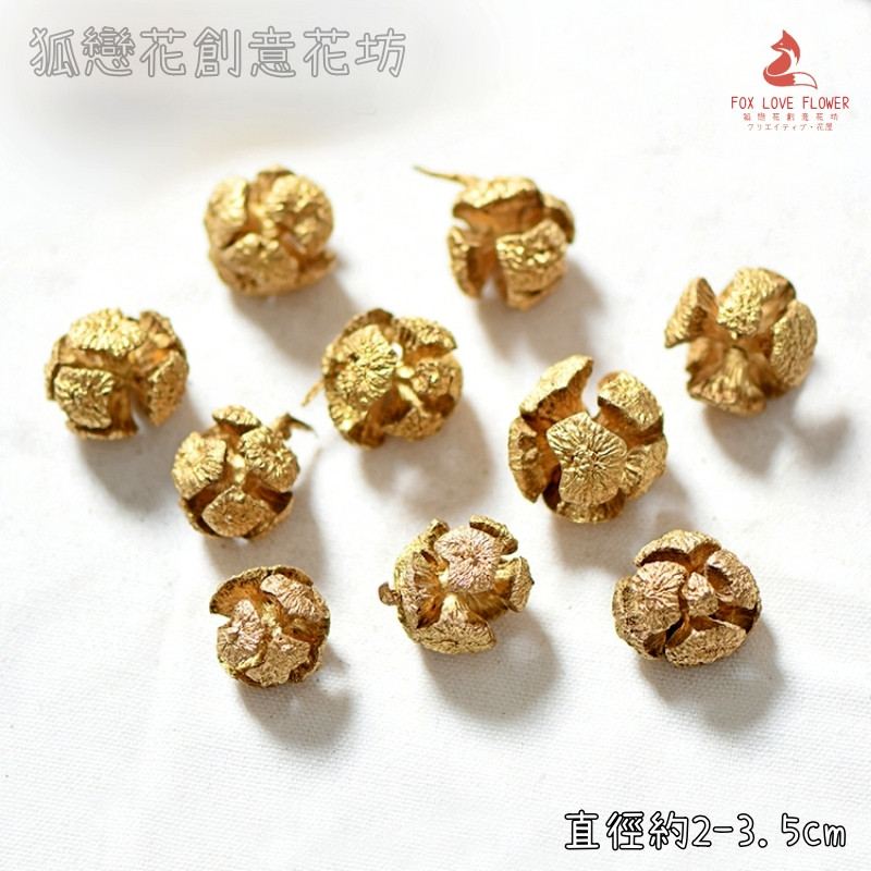 金色 足球果（5個）,🦊~賣場商品眾多，歡迎參觀選購~🦊