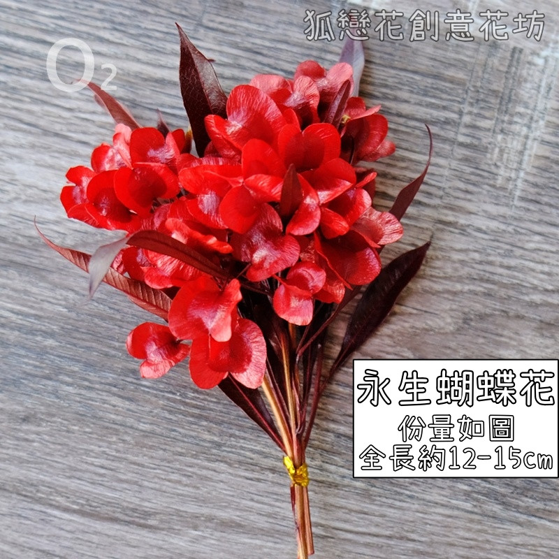 ❰紅色❱永生蝴蝶花(1份),份量請以選項為主