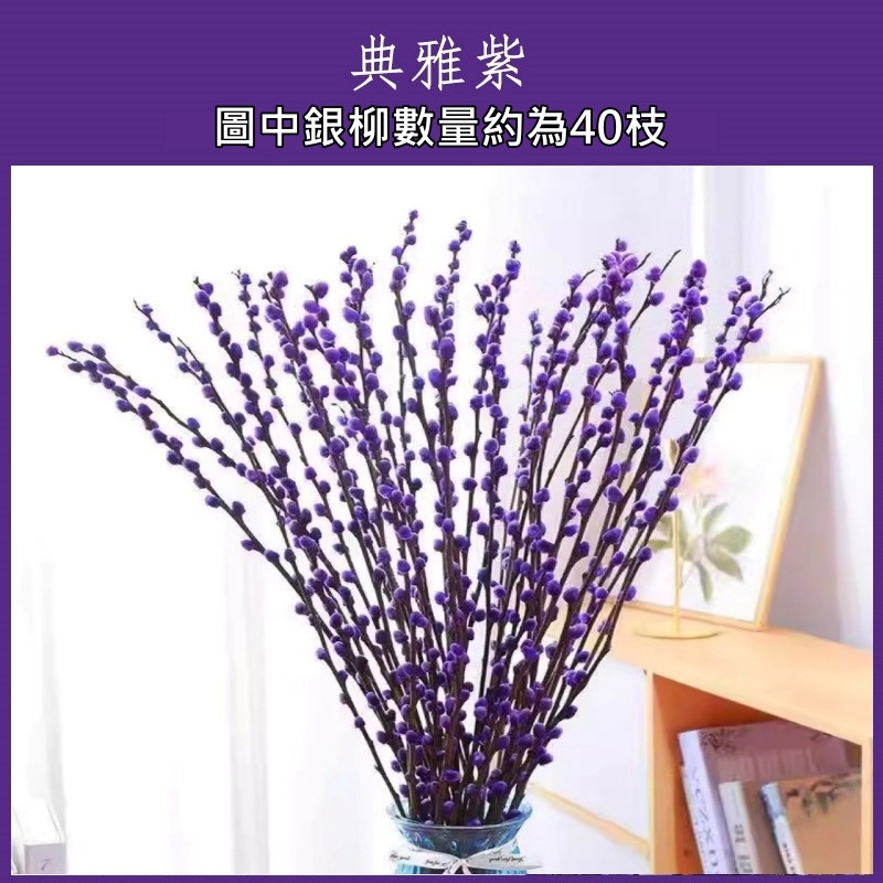 30~40cm染色〖紫〗銀柳6枝