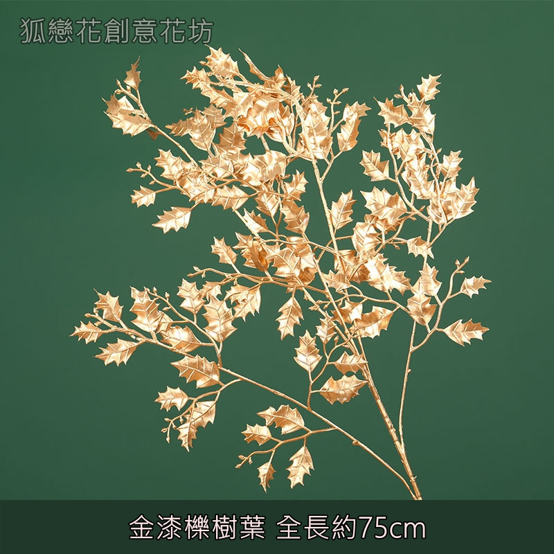 (金漆)櫟樹葉