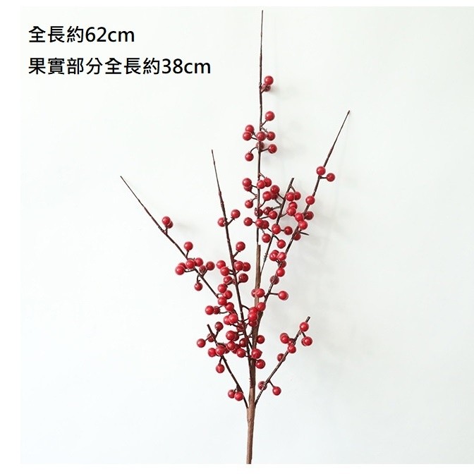 (紅果)相思紅豆