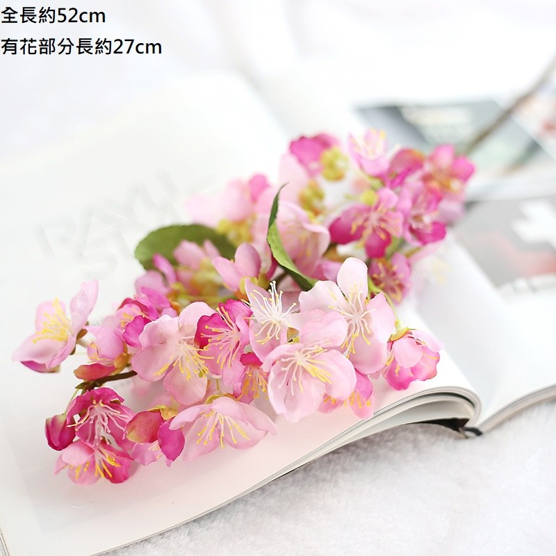 巴黎櫻花(緋紅),價格為1枝(個)的價格