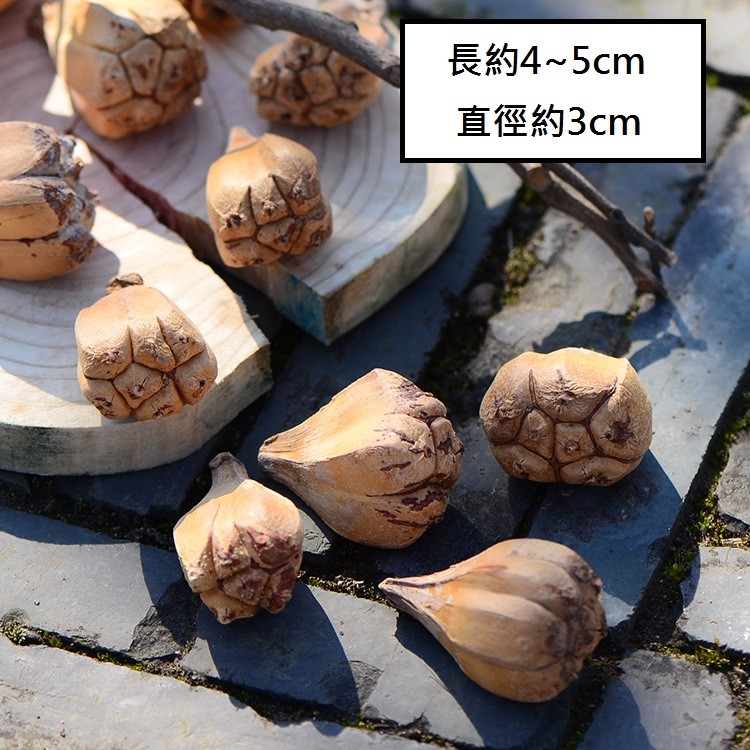 佛手(6個),🦊~賣場商品眾多，歡迎參觀選購~🦊
