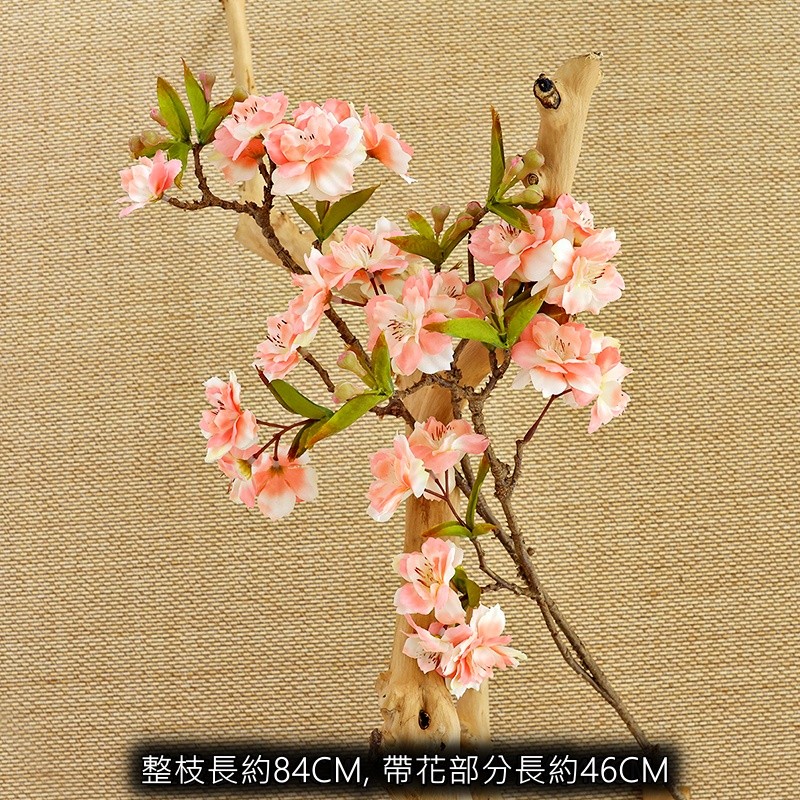 日式櫻花(香檳),價格為1枝(個)的價格