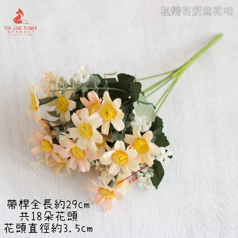 小雛菊（油畫香檳）