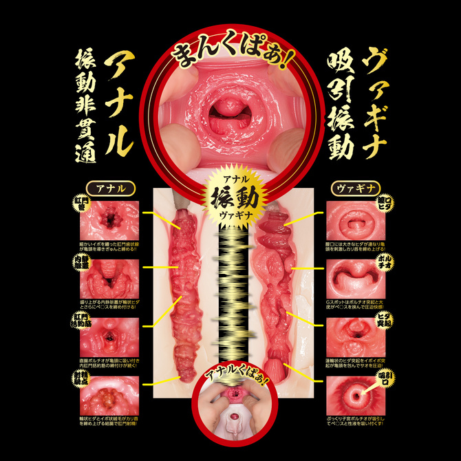 日本NPG 生腰名器 震動2穴女尻 北野未奈 吸って蠢く 生腰名器 北野未奈