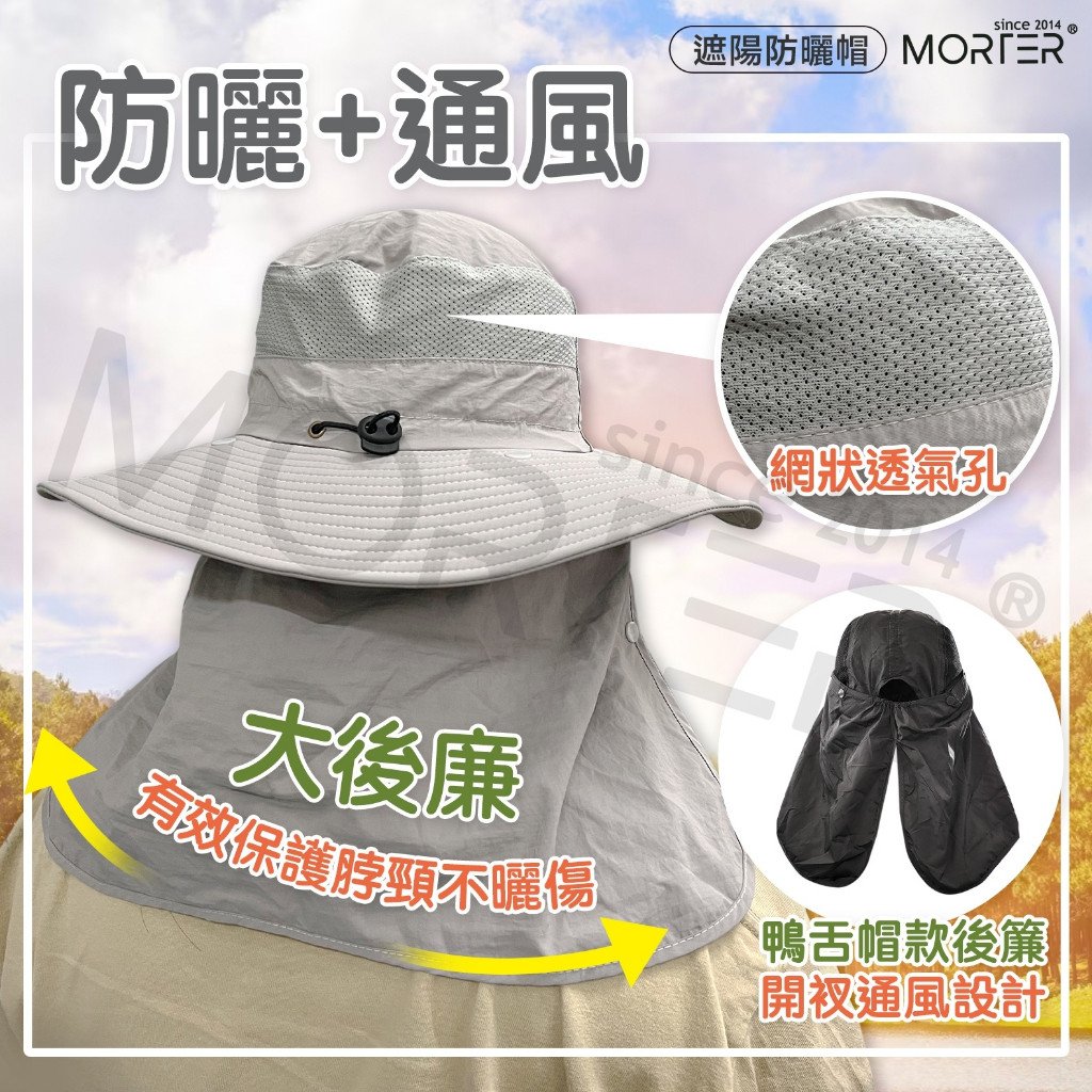 縮圖 5