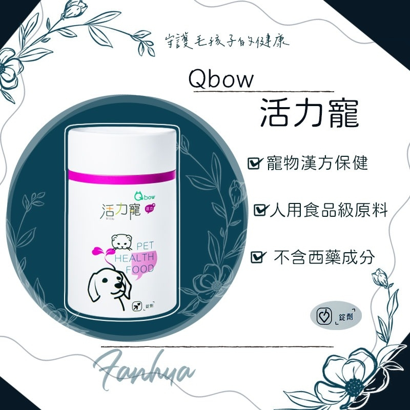 【快速出貨】★順天堂 Qbow★活力寵 增強抵抗力 錠劑 新包裝 貓 狗 鼠 兔 寵物保健︱繁華中西藥局︱