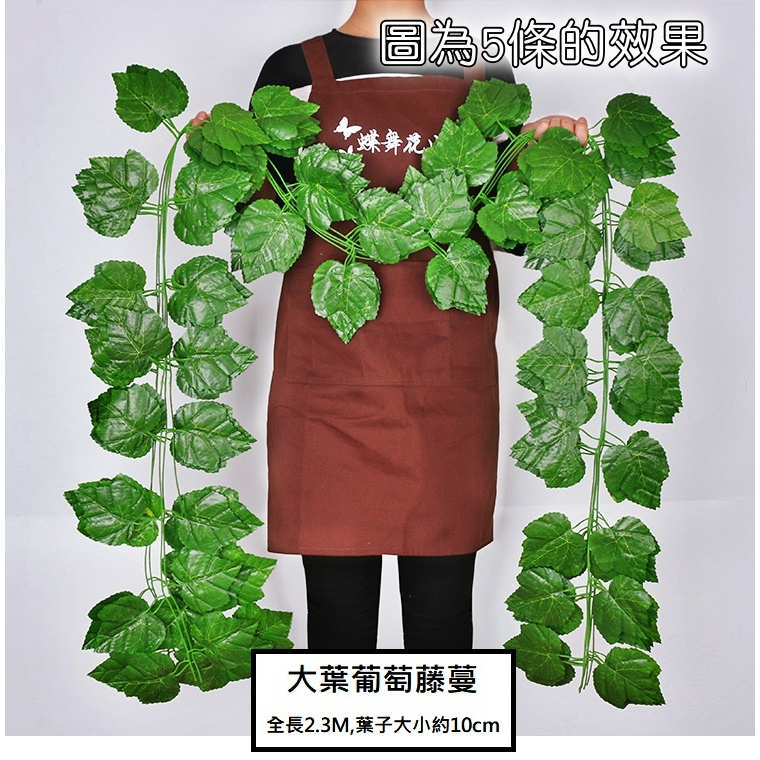 <大葉葡萄>(買4送1),價格為1條的價格