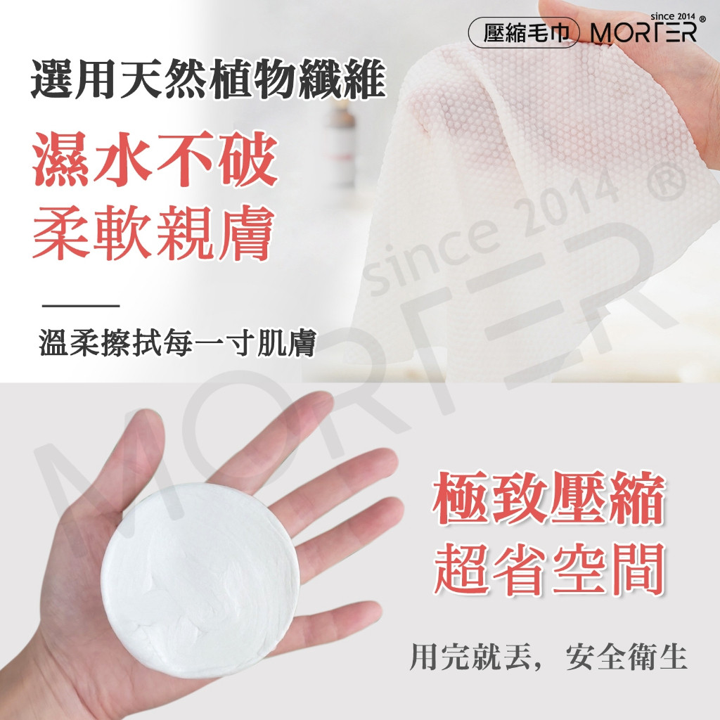 縮圖 6