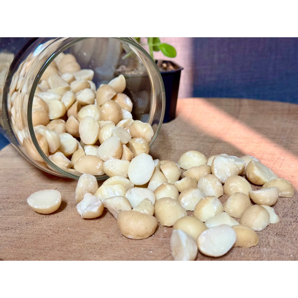 低溫烘焙夏威夷豆 300g/包 原味 無調味 堅果 原味慢烘 澳洲火山豆 夏威夷豆 過年 年貨 伴手禮｜繁華中西藥局｜