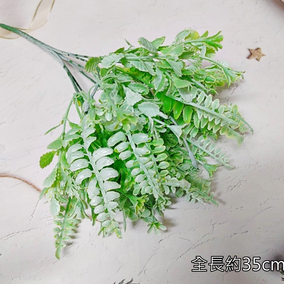 7叉配草(白綠),🦊~賣場商品眾多，歡迎參觀選購~🦊