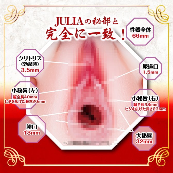 日本NPG 新熟女之星JULIAの陰部再現 新 熟女の星 JULIAの秘部完全レプリカ AV女優 JULIA