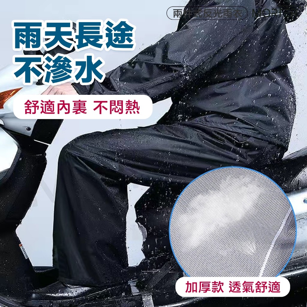 縮圖 5