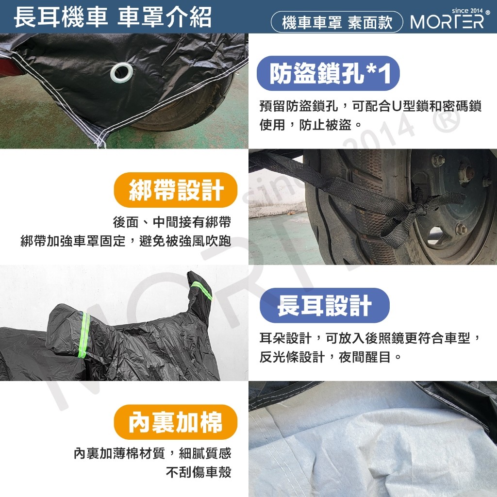 縮圖 7