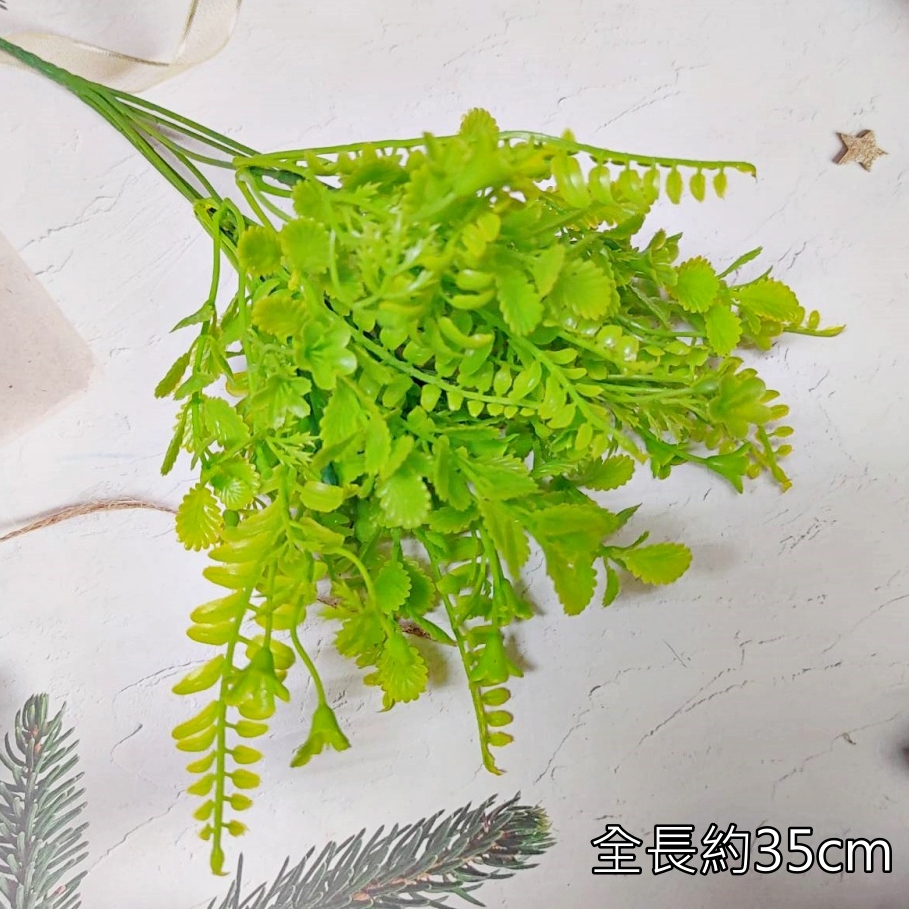 7叉配草(綠),🦊~賣場商品眾多，歡迎參觀選購~🦊