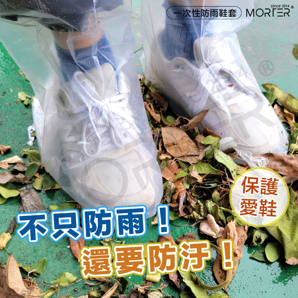 縮圖 5