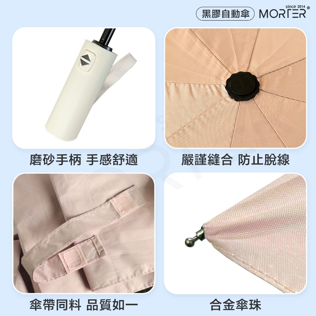 縮圖 7