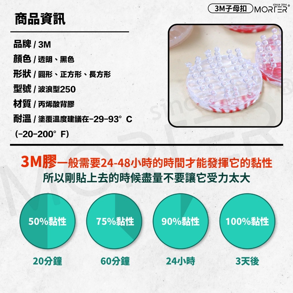 縮圖 8