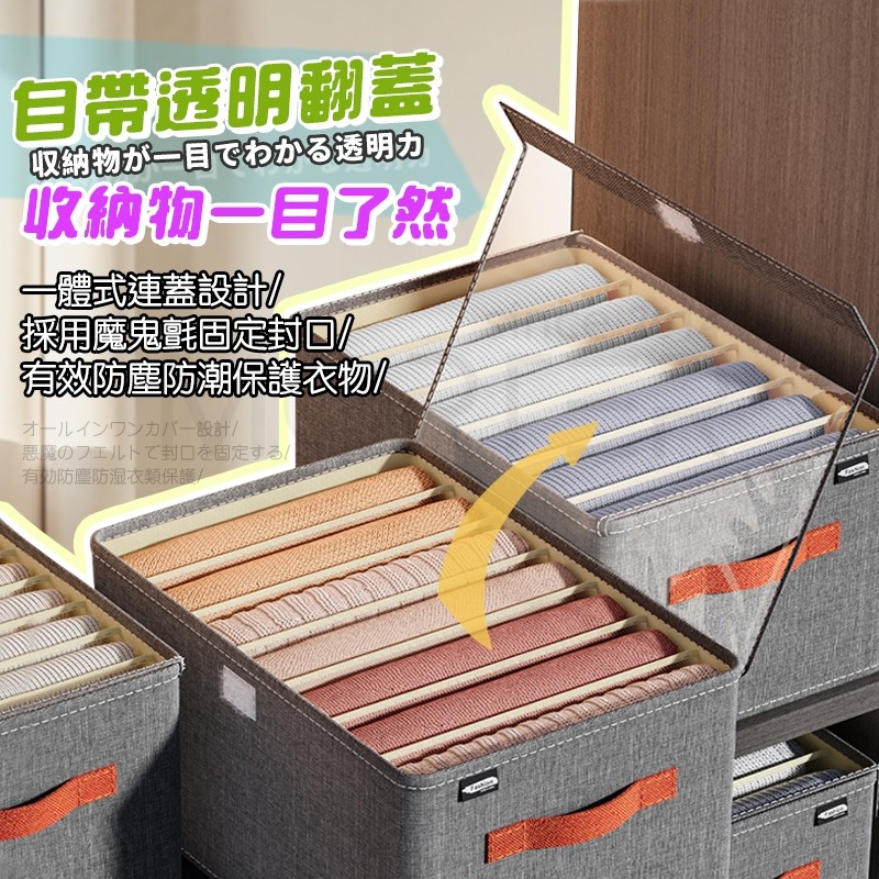縮圖 7