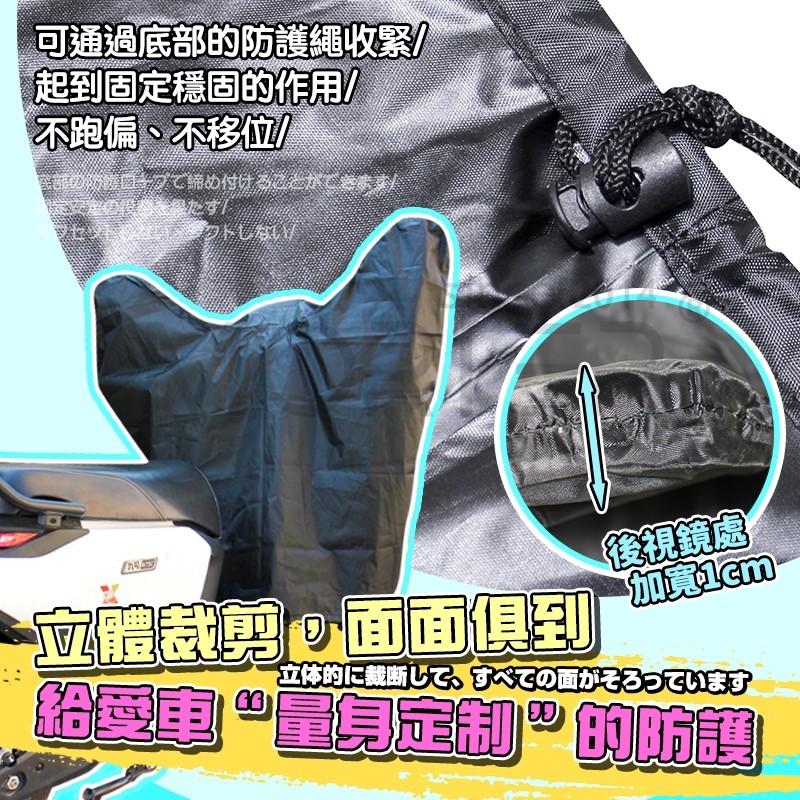 縮圖 7
