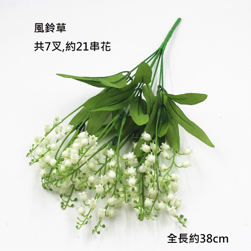 7叉小風鈴草/小鈴蘭花(白),🦊~賣場商品眾多，歡迎參觀選購~🦊
