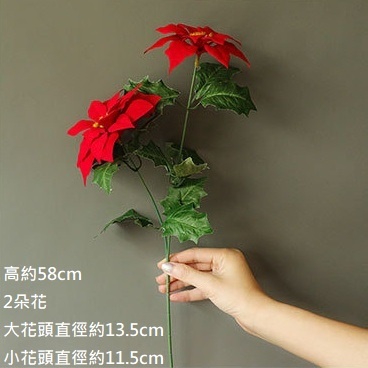 紅色長枝2頭聖誕紅(不適合用金盆),🦊~賣場商品眾多，歡迎參觀選購~🦊
