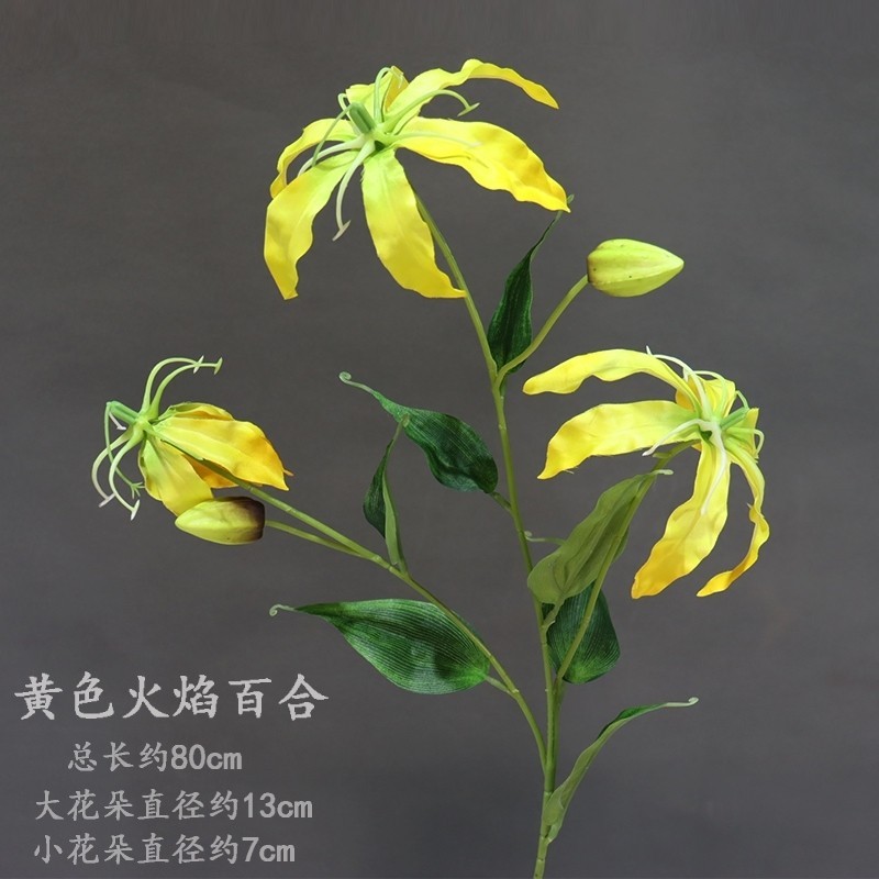 3頭火焰百合❰黃色❱