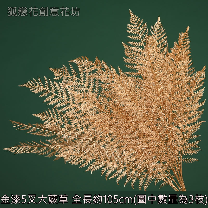 (金漆)長枝大蕨草,🦊~賣場商品眾多，歡迎參觀選購~🦊