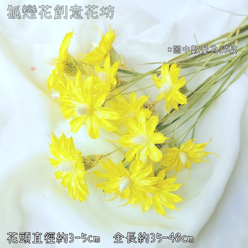❰黃❱小雛菊3朵,本頁面僅花頭不帶桿