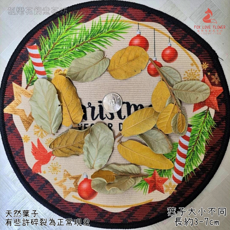 ❰原色❱栗木葉(10片),份量請以選項為主
