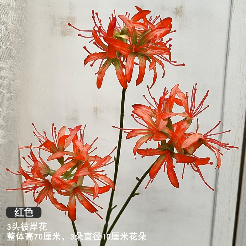 3頭彼岸花(紅色)