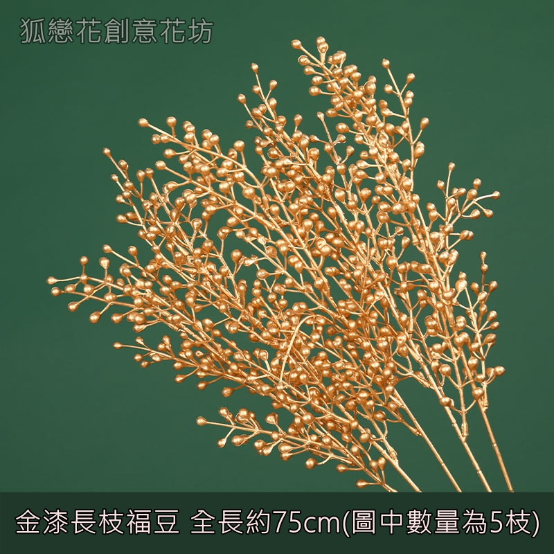(金漆)長枝福豆,🦊~賣場商品眾多，歡迎參觀選購~🦊