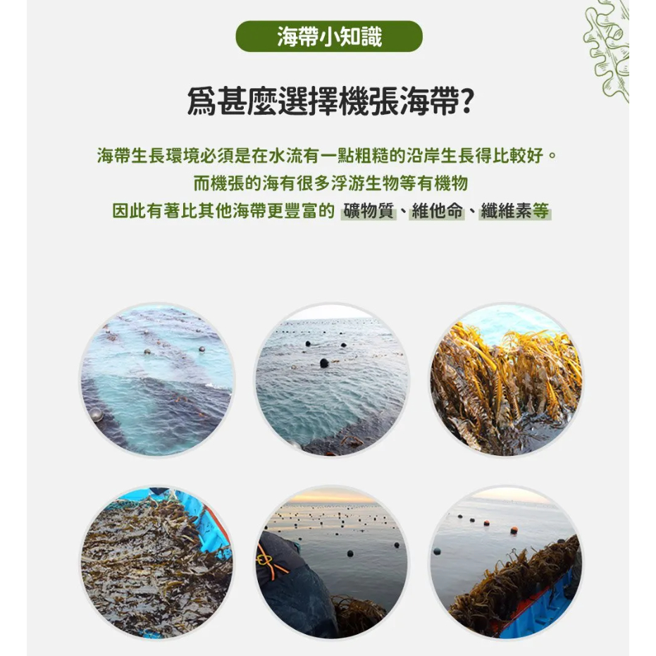 連海帶都是愛你的形狀 20g