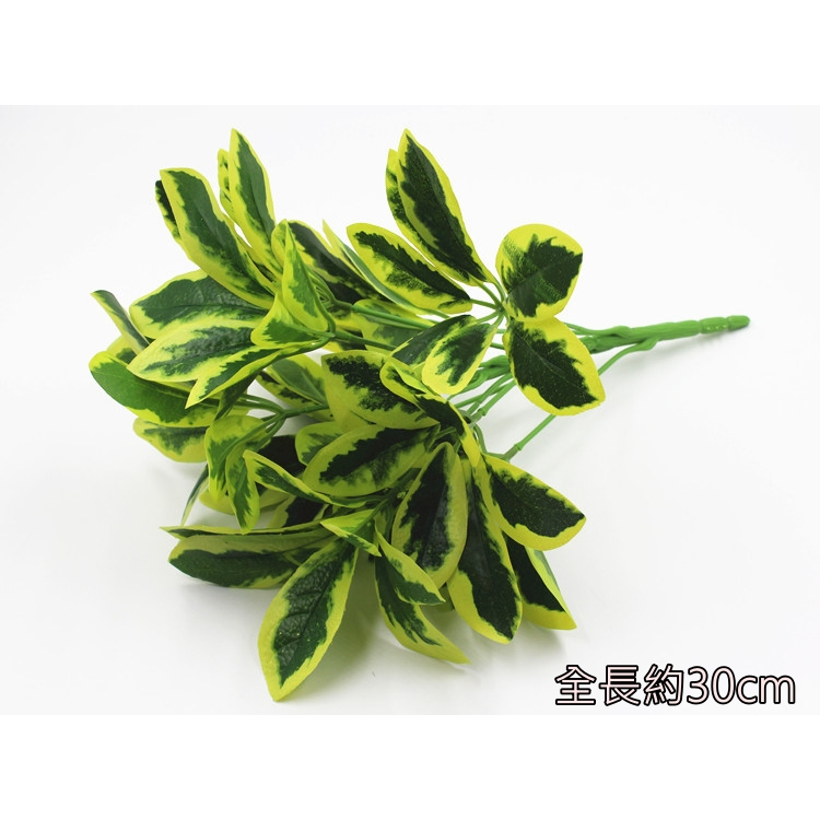 9叉鴨腳木(黃色),🦊~賣場商品眾多，歡迎參觀選購~🦊