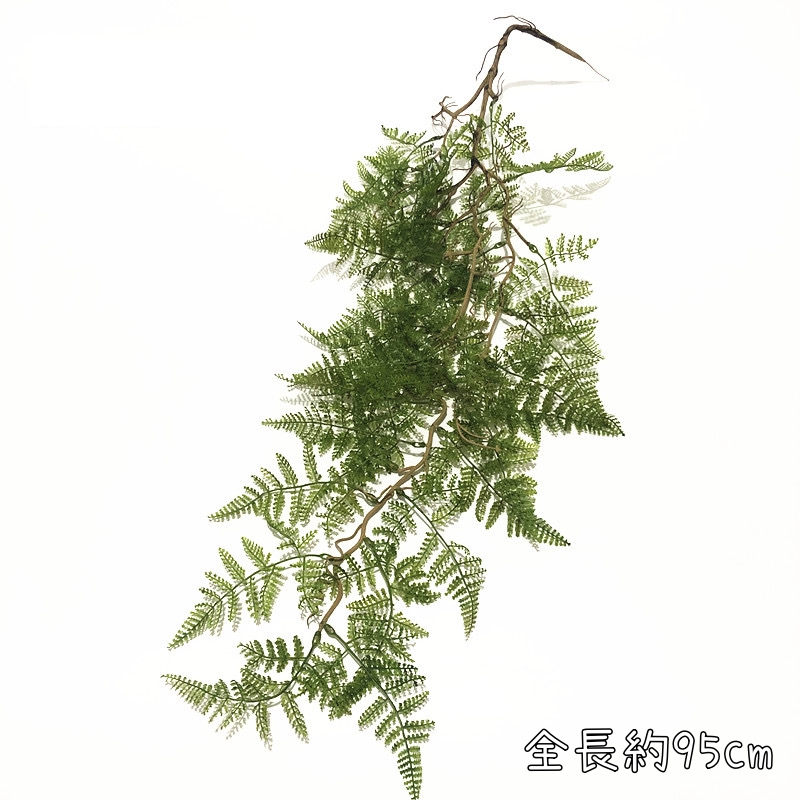 壁掛枯枝羊齒蕨(綠色),價錢為1束的價格
