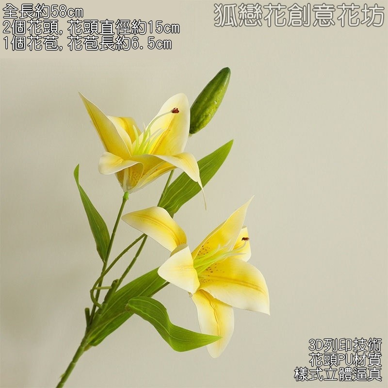 2頭長枝百合❰黃❱綠色花苞