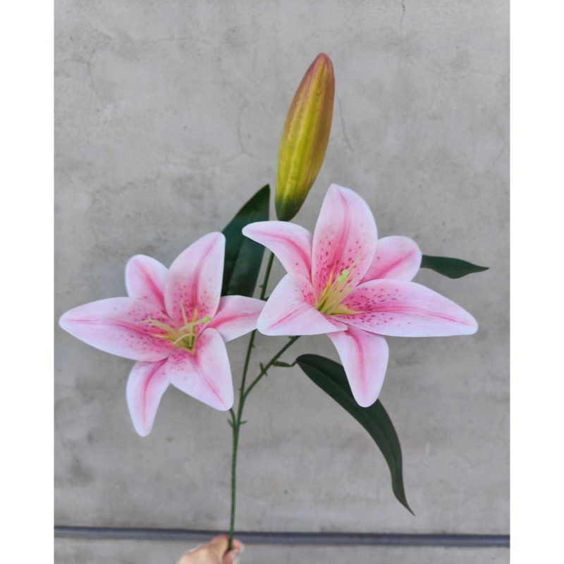 2頭長枝百合❰粉❱橘黃花苞
